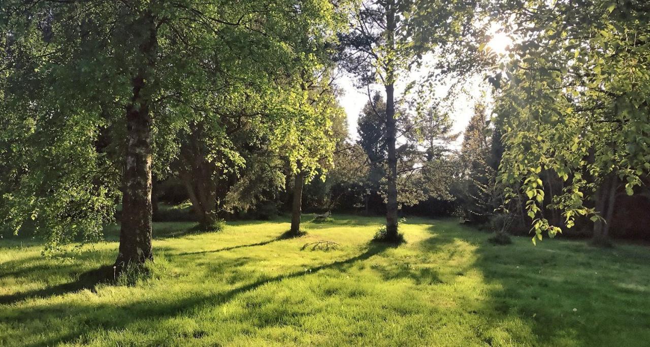 Domki Nad Morzem Cello Ostrowo  Exteriör bild